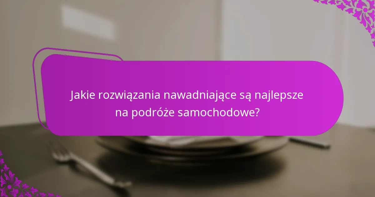 Jakie rozwiązania nawadniające są najlepsze na podróże samochodowe?